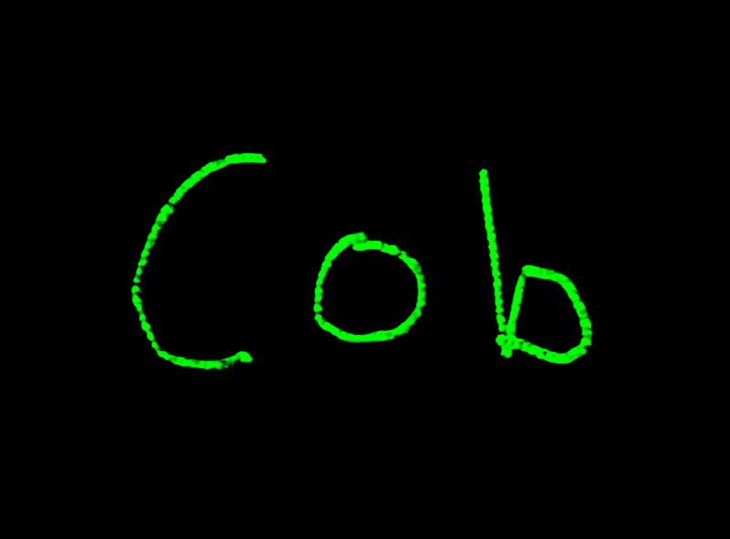 The Cobchives Store